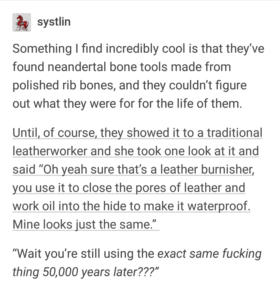Simple Leatherworker Answers What Scientists Could Not