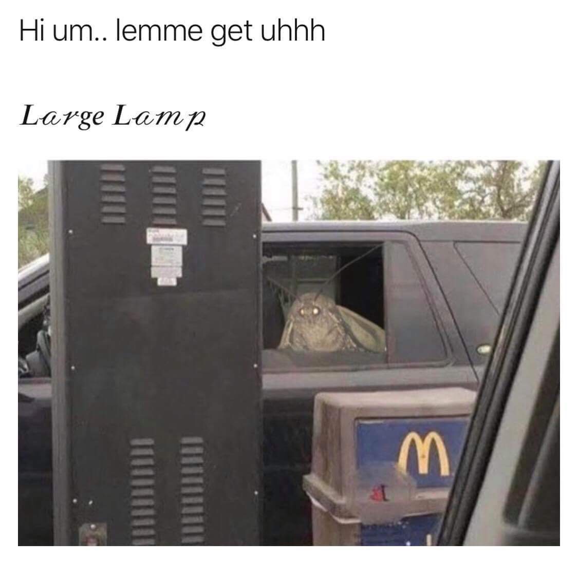 can i get uhhh lamp - Hi um.. lemme get uhhh Large Lamp