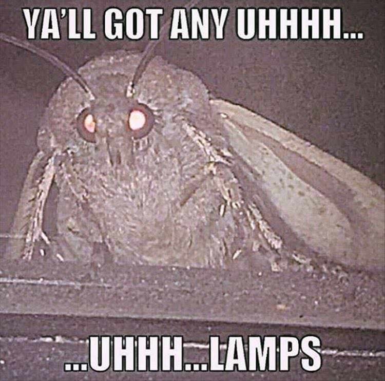 moth meme - |_YA'Ll Got Any Uhhhh... ..Uhhh...Lamps