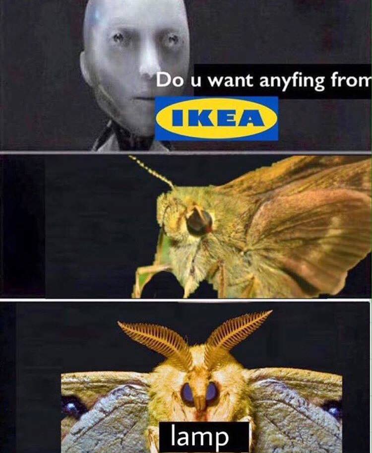 lamp memes - Do u want anyfing from Ikea Wma lamp