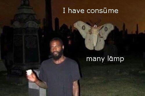 cursed image moth - I have consme many lamp