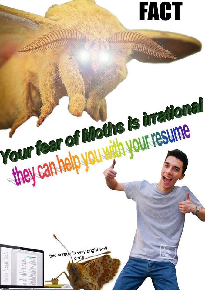 moth meme resume - Fact Your fear of Moths is irrational they can help you with your resume ta this screen is very bright well done