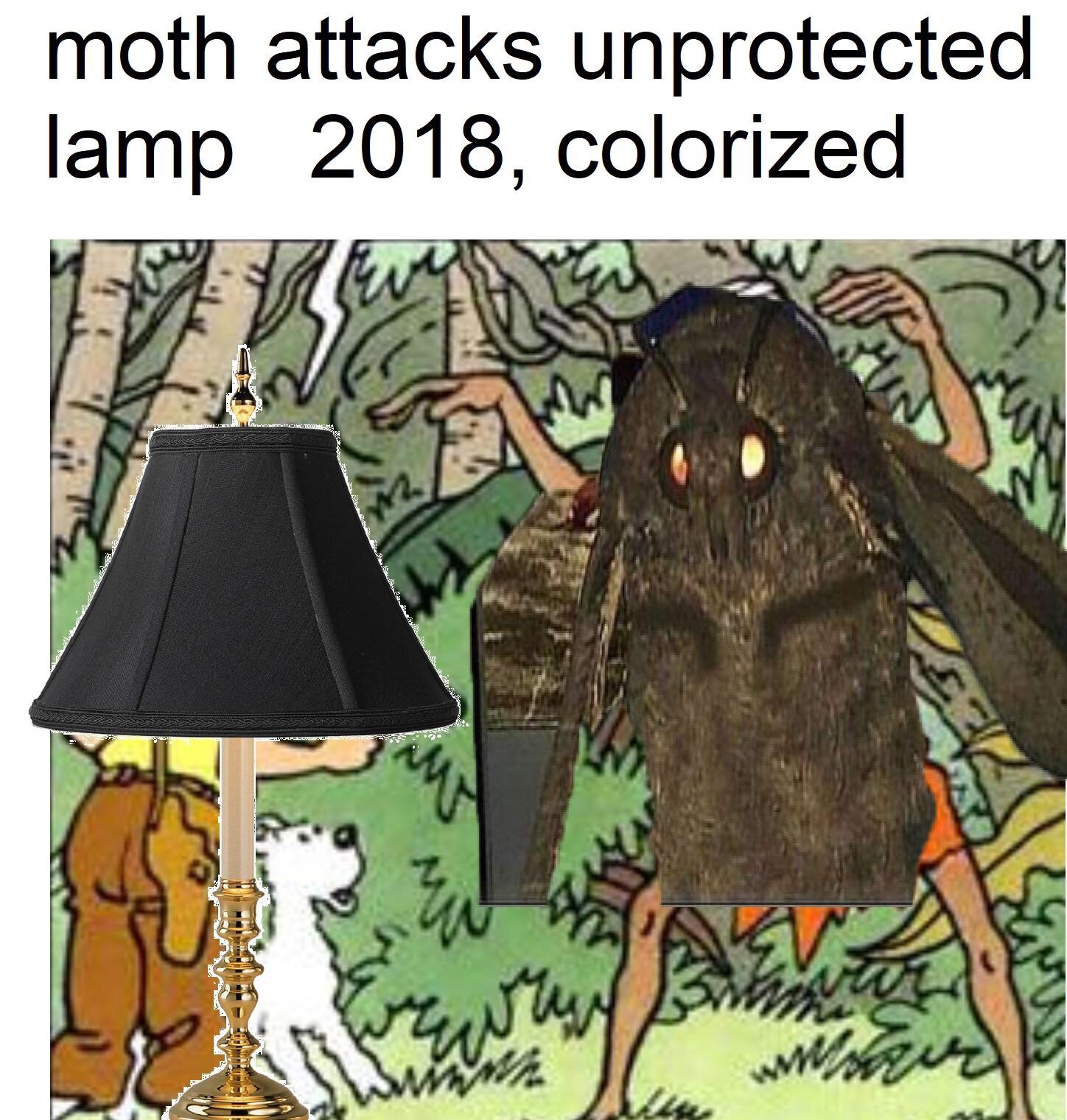new moth meme - moth attacks unprotected lamp 2018, colorized