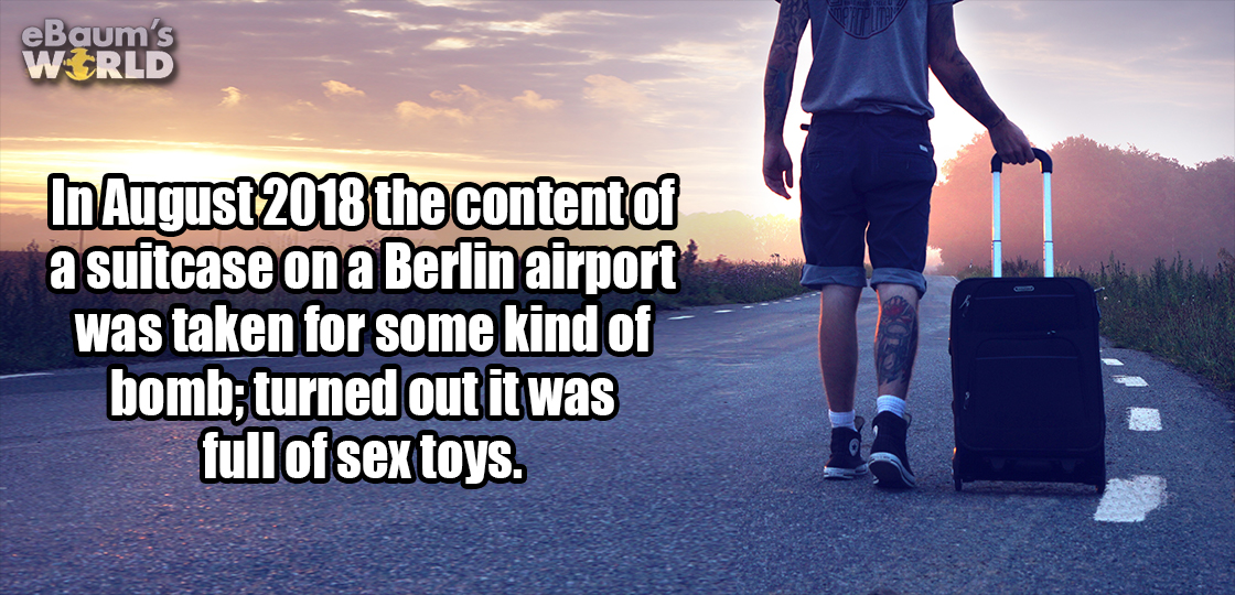 asphalt - eBaum's World In the content of a suitcase on a Berlin airport was taken for some kind of bomb; turned out it was full of sex toys.