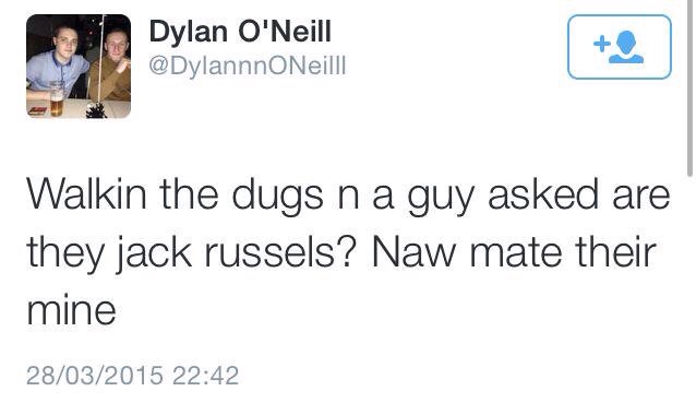 tweet - media - Dylan O'Neill Walkin the dugs n a guy asked are they jack russels? Naw mate their mine 28032015