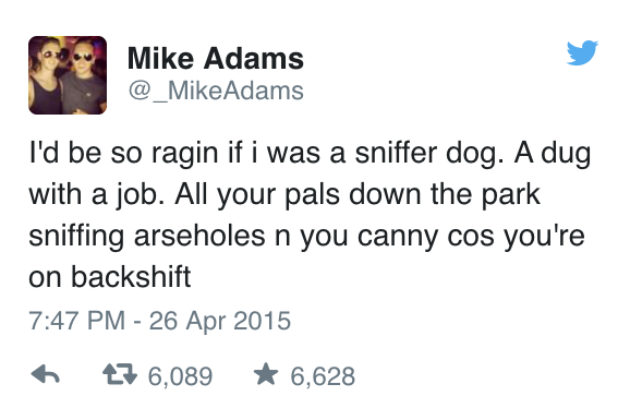 tweet - best twitter funny tweets - Mike Adams Adams I'd be so ragin if i was a sniffer dog. A dug with a job. All your pals down the park sniffing arseholes n you canny cos you're on backshift 47 6,089 6,628