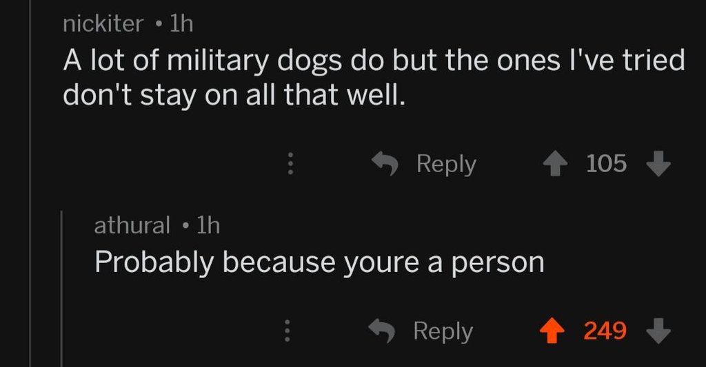 screenshot - nickiter 1h A lot of military dogs do but the ones I've tried don't stay on all that well. 105 athural 1h Probably because youre a person 249