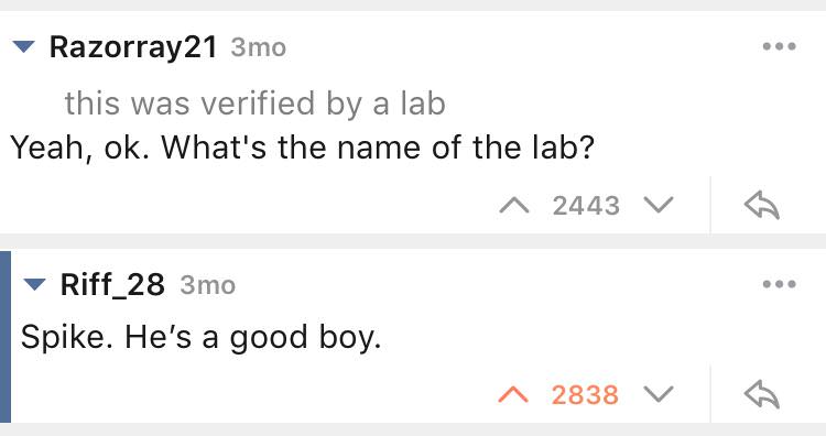 document - Razorray21 3mo this was verified by a lab Yeah, ok. What's the name of the lab? 2443 v Riff_28 3mo Spike. He's a good boy. 1 2838 v 6