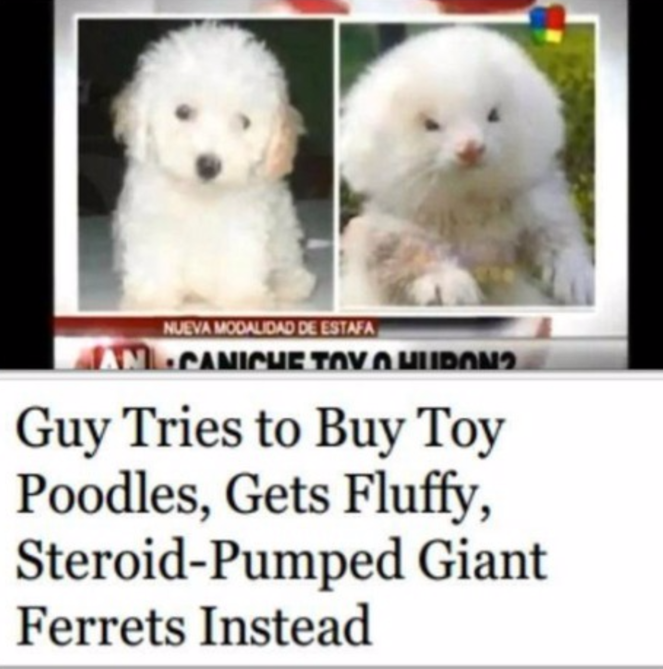 20 Crazy Headlines That Will Make You Cackle Like A Maniac