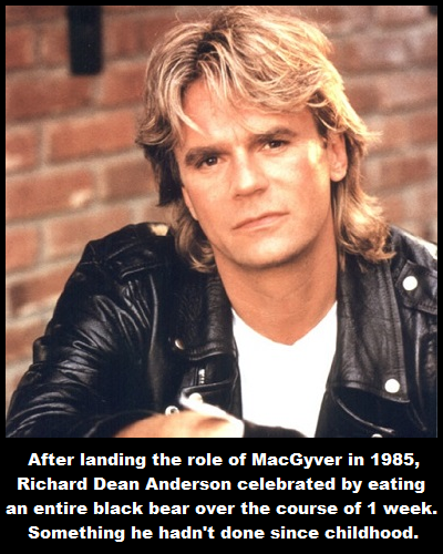 macgyver richard dean anderson - After landing the role of MacGyver in 1985, Richard Dean Anderson celebrated by eating an entire black bear over the course of 1 week. Something he hadn't done since childhood.