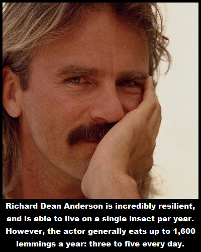 photo caption - Richard Dean Anderson is incredibly resilient, and is able to live on a single insect per year. However, the actor generally eats up to 1,600 lemmings a year three to five every day.