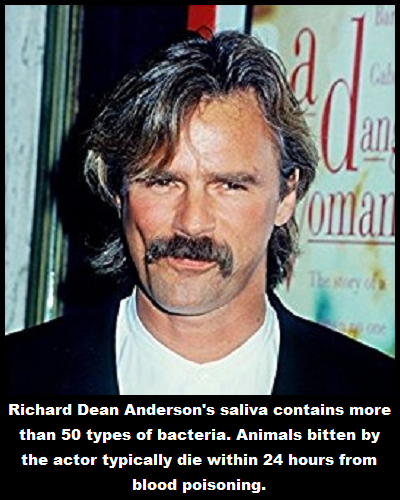 richard dean anderson mustache - Richard Dean Anderson's saliva contains more than 50 types of bacteria. Animals bitten by the actor typically die within 24 hours from blood poisoning.