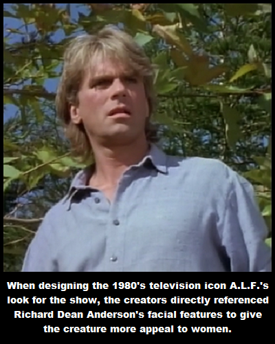 man - When designing the 1980's television icon A.L.F.'s look for the show, the creators directly referenced Richard Dean Anderson's facial features to give the creature more appeal to women.