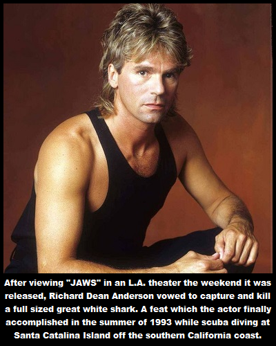 richard dean anderson - After viewing "Jaws in an L.A. theater the weekend it was released, Richard Dean Anderson vowed to capture and kill a full sized great white shark. A feat which the actor finally accomplished in the summer of 1993 while scuba divin