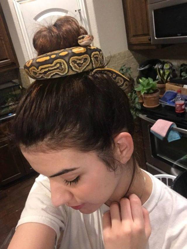wtf pics - hairstyle with snake