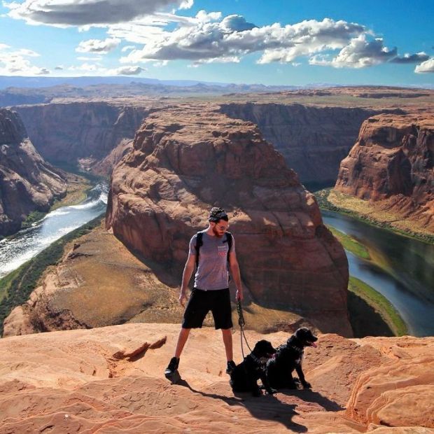 Guy Saves Two Puppies Abandoned In The Middle Of A Desert And Gains Badass Travel Companions