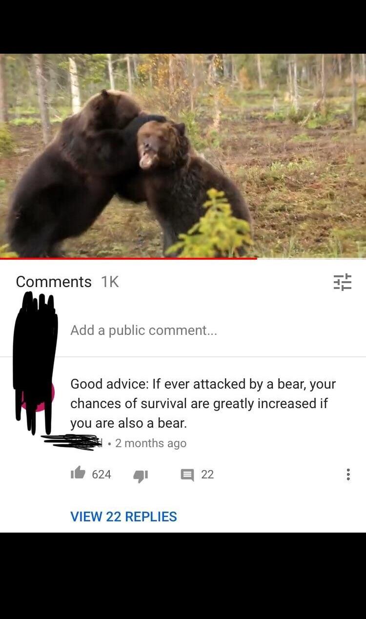 photo caption - 1K Add a public comment... Good advice If ever attacked by a bear, your chances of survival are greatly increased if you are also a bear. . 2 months ago if 624 41 E 22 View 22 Replies