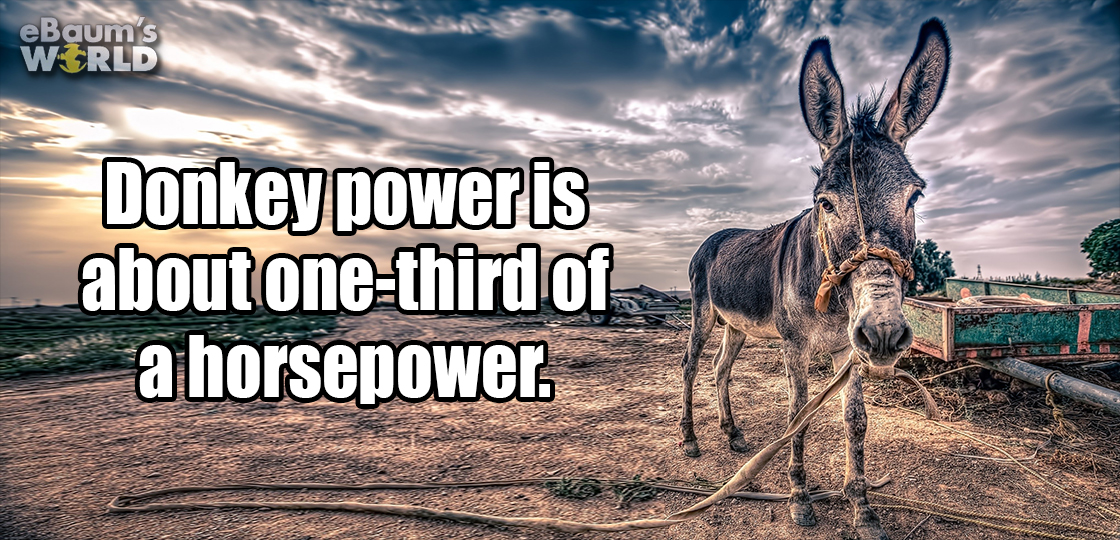donkey hd - eBaum's World Donkey power is about onethird of a horsepower.