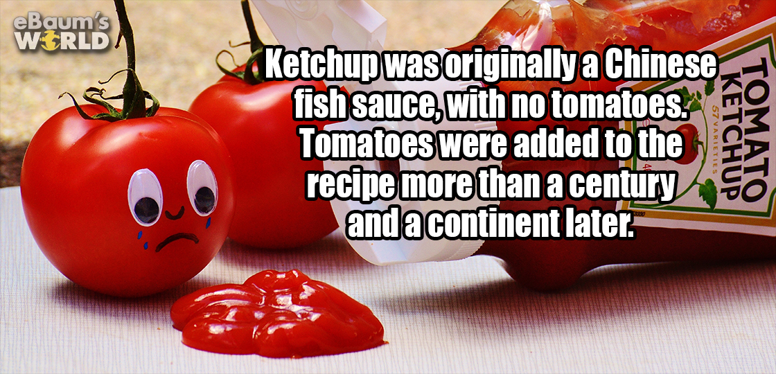 natural foods - eBaum's World Ketchup was originally a Chinese fish sauce, with no tomatoes. 19 Tomatoes were added to the recipe more than a century and a continent later. Vities Ketchup Tomato