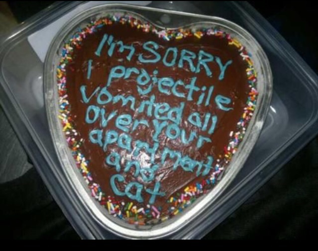 funny apology cakes - Sorry proiectile Vomrecall Over our Opisa