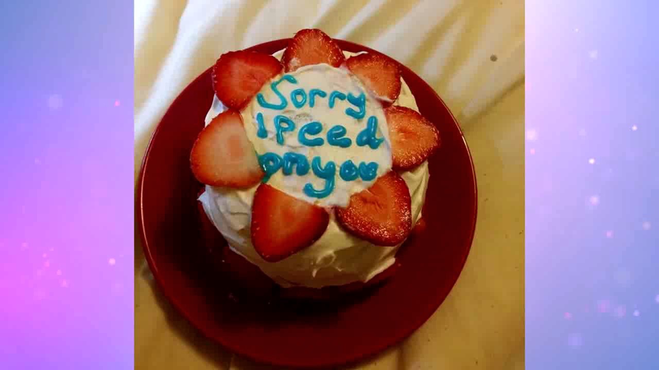 sorry i peed on you cake - Sorry ipeed proyee