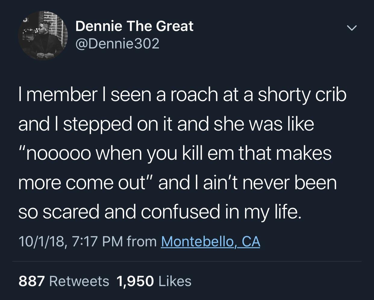 atmosphere - Dennie The Great 302 Tmember I seen a roach at a shorty crib and I stepped on it and she was "nooooo when you kill em that makes more come out" and I ain't never been so scared and confused in my life. 10118, from Montebello, Ca 887 1,950