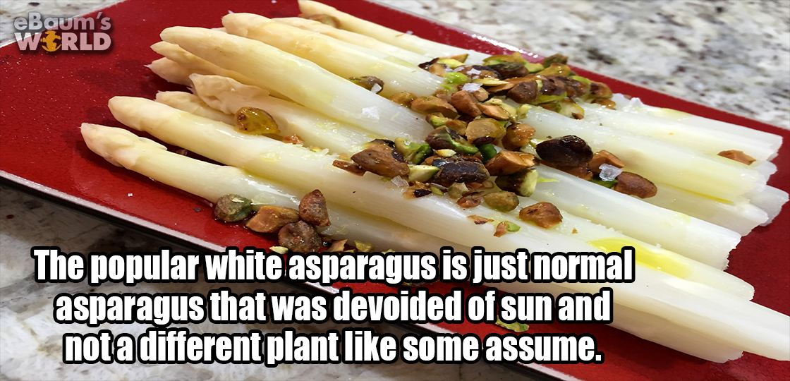 recipe - Baum's World The popular white asparagus is just normal asparagus that was devoided of sun and nota different plant some assume.