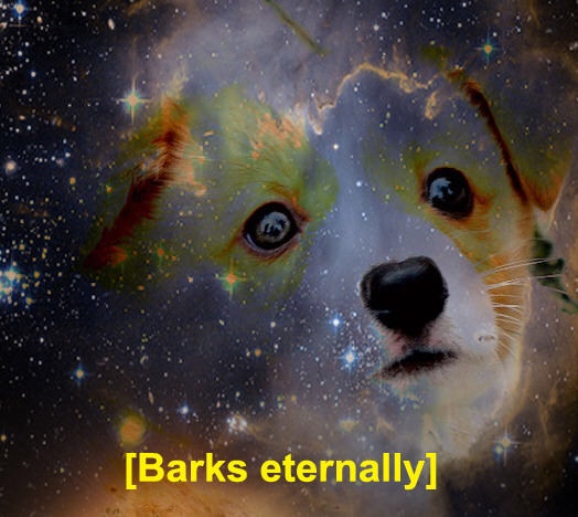 reaction face barks eternally - Barks eternally