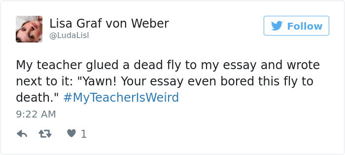 best tweets 2017 - Lisa Graf von Weber My teacher glued a dead fly to my essay and wrote next to it "Yawn! Your essay even bored this fly to death." TeacherlsWeird tz 1