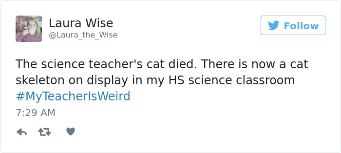 trump economy tweet - Laura Wise The science teacher's cat died. There is now a cat skeleton on display in my Hs science classroom TeacherlsWeird & 7