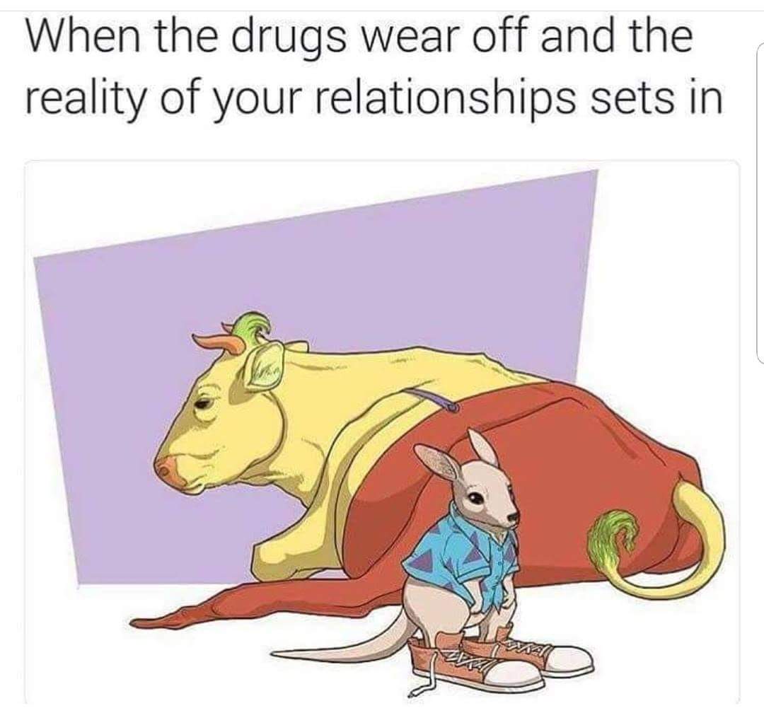 dank memes drug memes - When the drugs wear off and the reality of your relationships sets in