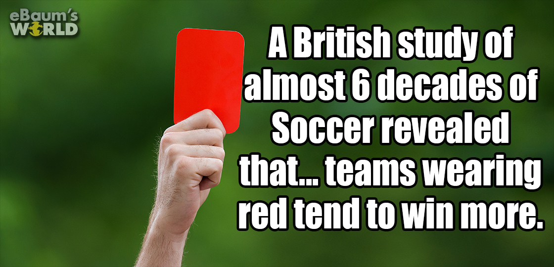 grass - eBaum's World A British study of almost 6 decades of Soccer revealed that... teams wearing red tend to win more.