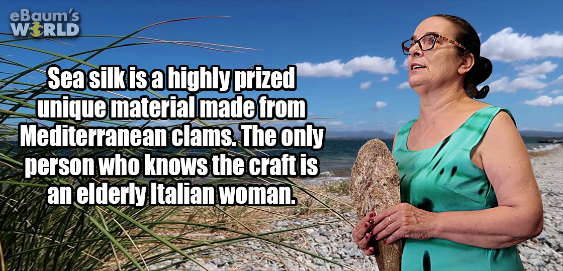 vacation - eBaum's World Sea silk is a highly prized unique material made from Mediterranean clams. The only person who knows the craft is an elderly Italian woman.