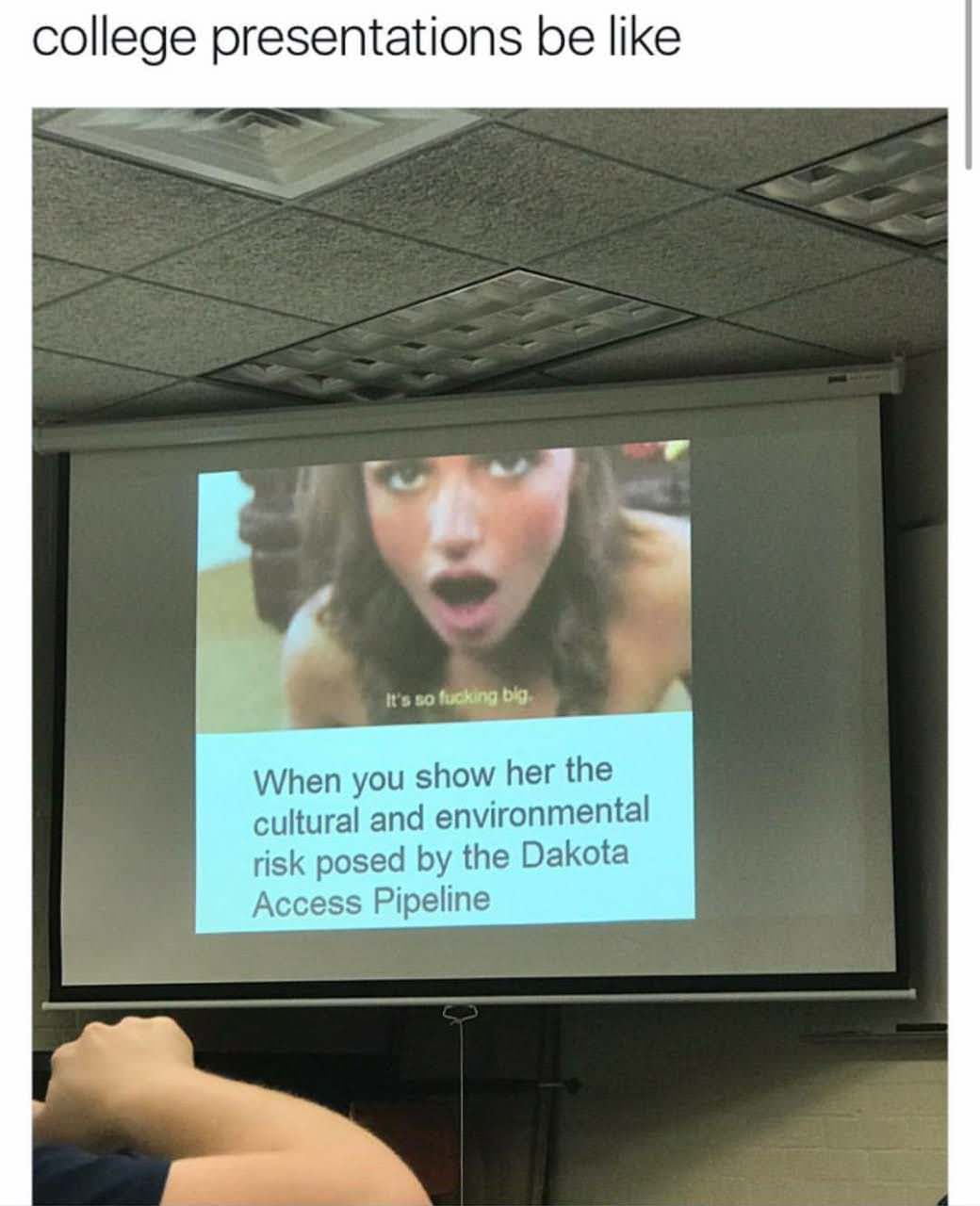 memes about presentations - college presentations be It's so fucking big When you show her the cultural and environmental risk posed by the Dakota Access Pipeline