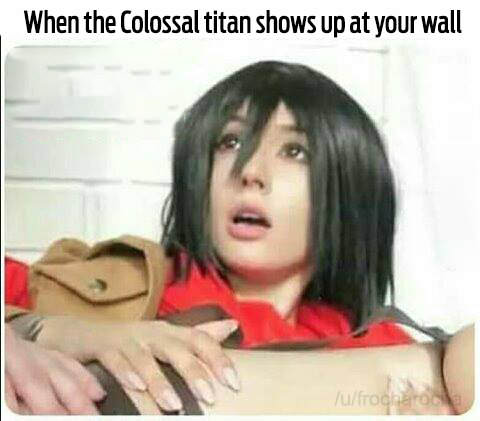 black hair - When the Colossal titan shows up at your wall