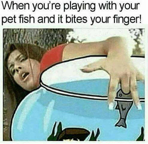 you re playing with your pet fish - When you're playing with your pet fish and it bites your finger!