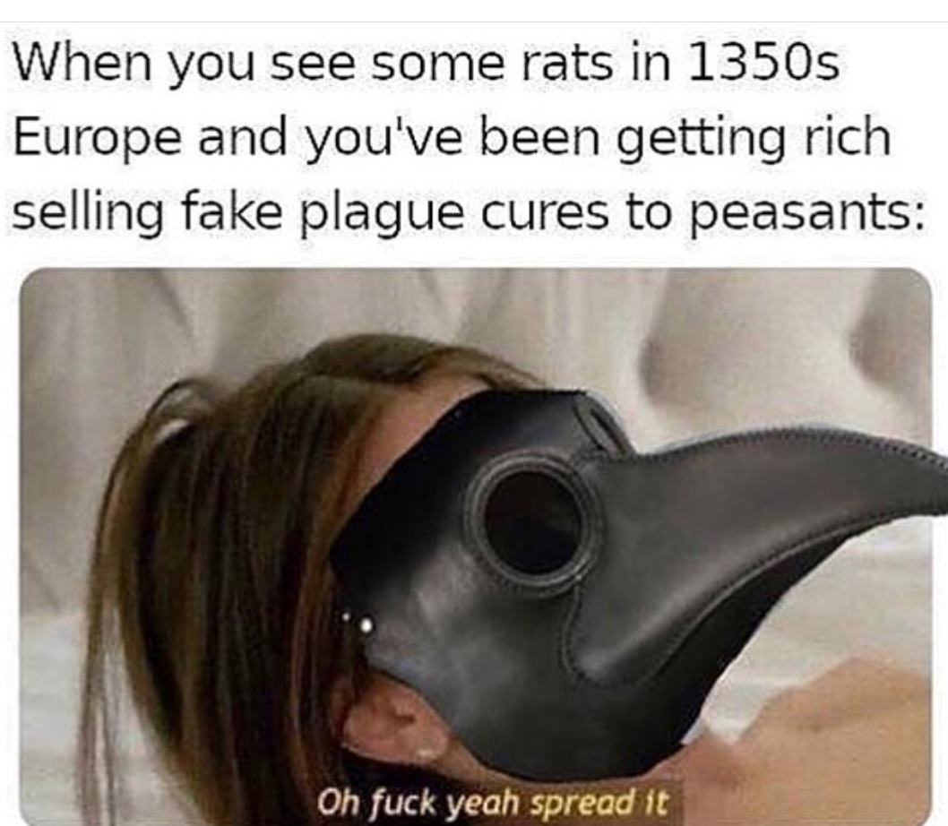 plague doctor meme - When you see some rats in 1350s Europe and you've been getting rich selling fake plague cures to peasants Oh fuck yeah spread it