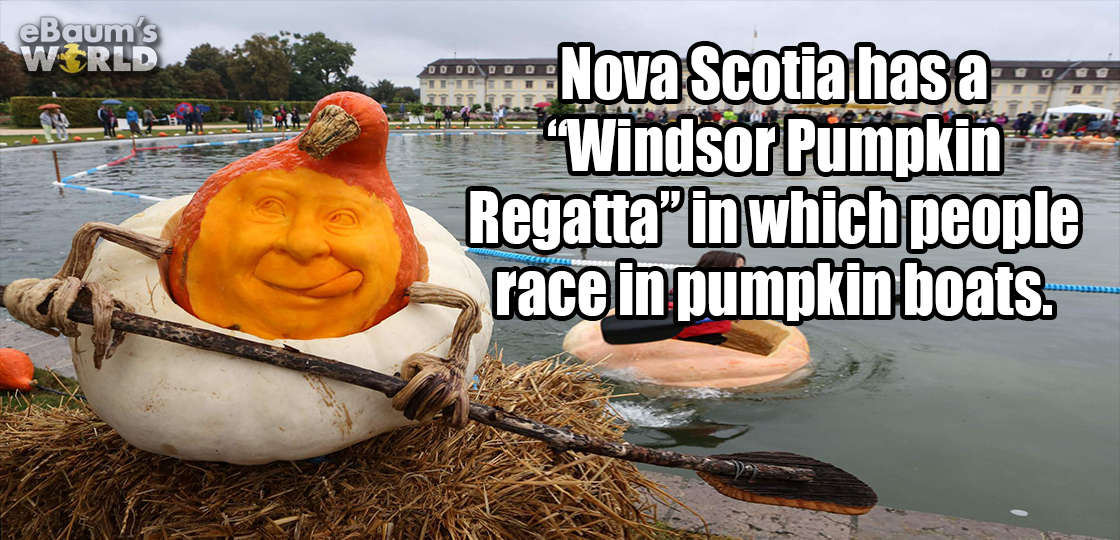 water - eBaum's Wrld Nova Scotia has a "Windsor Pumpkin Regatta in which people race, in pumpkin boats.