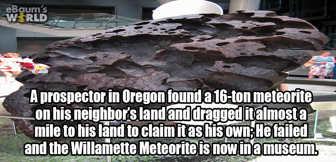 ebaumsworld - eBaum's Werld A prospector in Oregon found a 16ton meteorite _on his neighbor's land and dragged it almost a | mile to his land to claim it as his own; He failed and the Willamette Meteorite is now in a museum.
