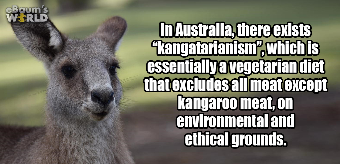 hunter douglas - eBaum's World In Australia, there exists "kangatarianism, which is essentially a vegetarian diet that excludes all meat except kangaroo meat, on environmental and ethical grounds.
