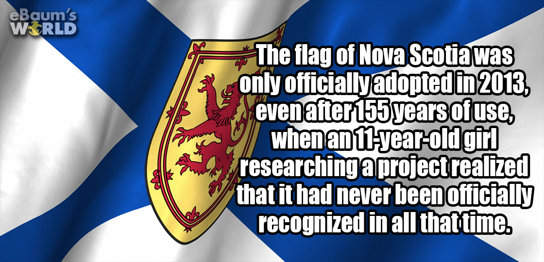 sorry it took so long - eBaum's W Rld The flag of Nova Scotia was only officially adopted in 2013, even after 155 years of use, when an 11yearold girl researching a project realized that it had never been officially recognized in all that time.