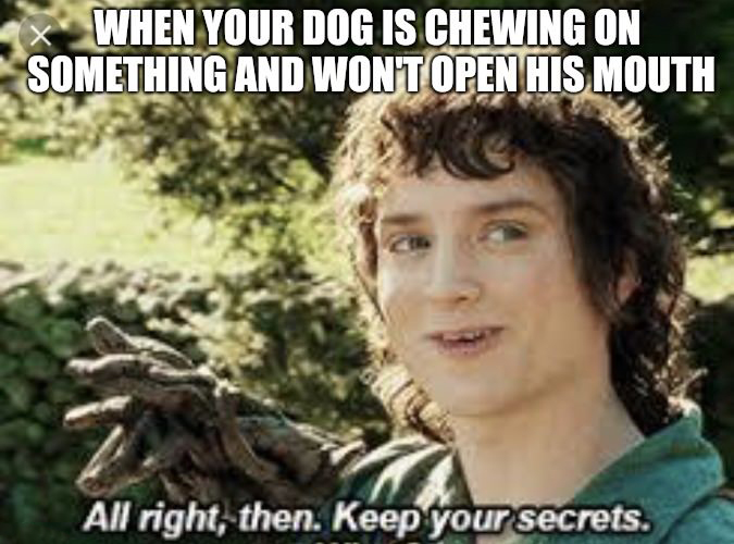 meme keep your secrets meme - x When Your Dog Is Chewing On Something And Wont Open His Mouth All right, then. Keep your secrets.