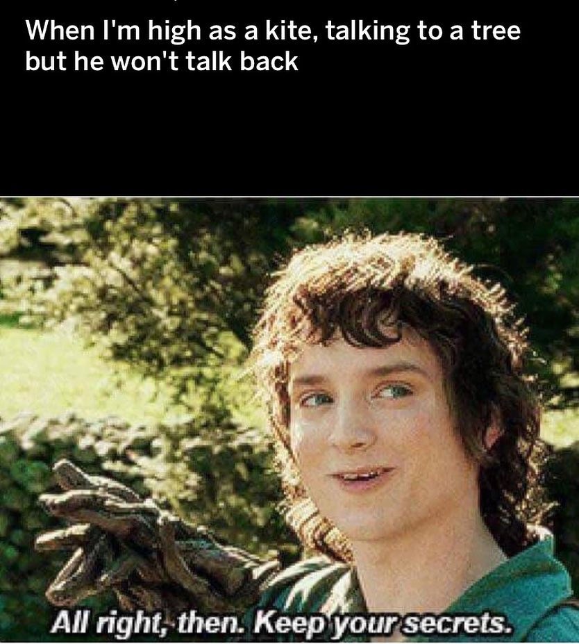 meme frodo meme keep your secrets - When I'm high as a kite, talking to a tree but he won't talk back All right, then. Keep your secrets.