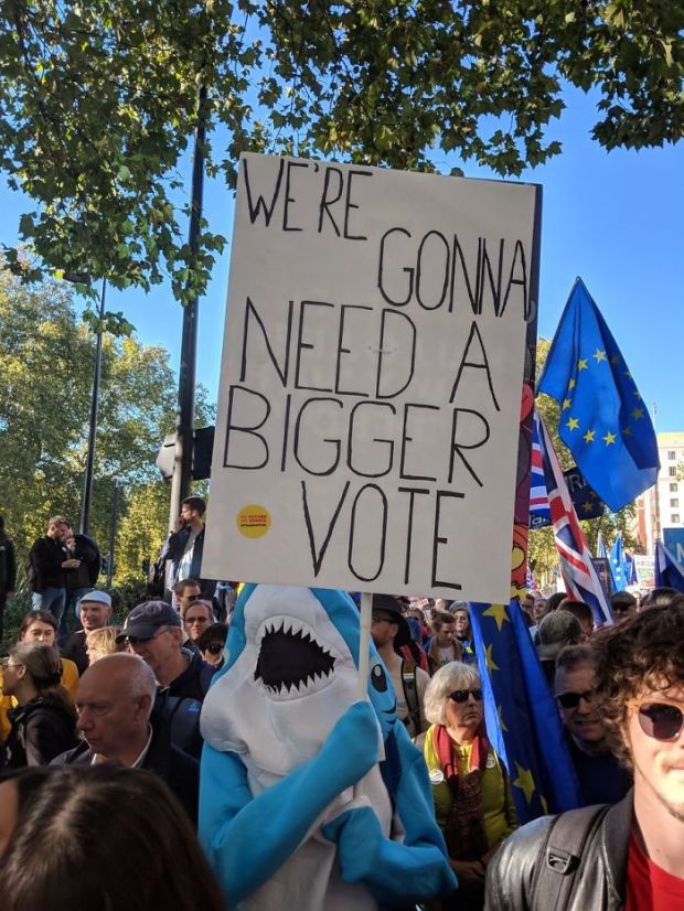 anti brexit signs - Need A Bigger Vote