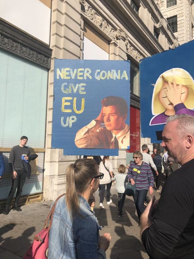 anti brexit sign