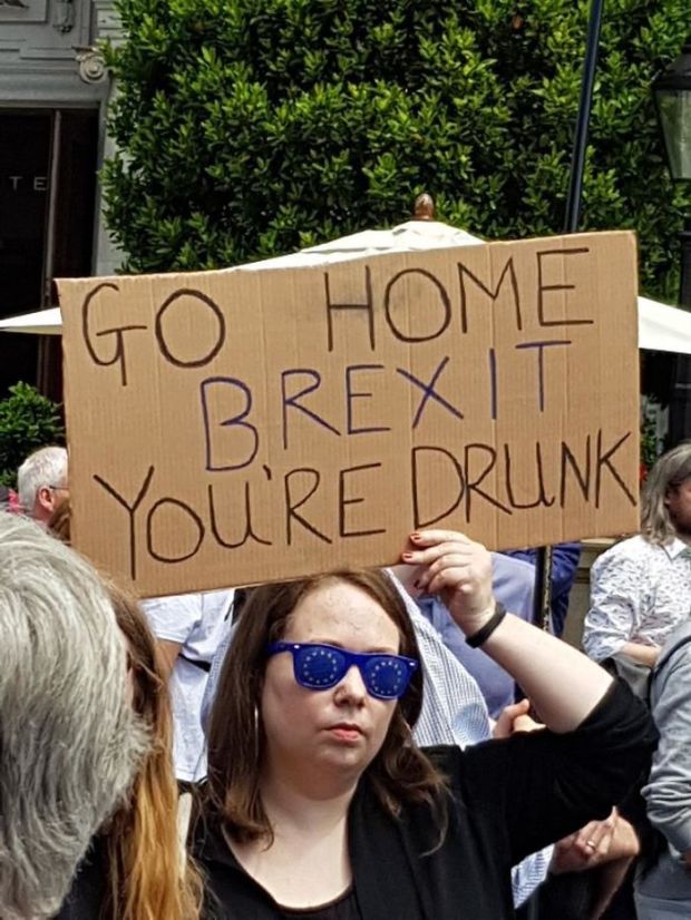 brexit march funny signs - Te Go Home Brexit You'Re Drunk es