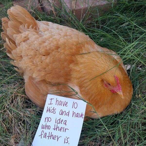 Cock Shaming Gallery That Will Confuse You With Its Name