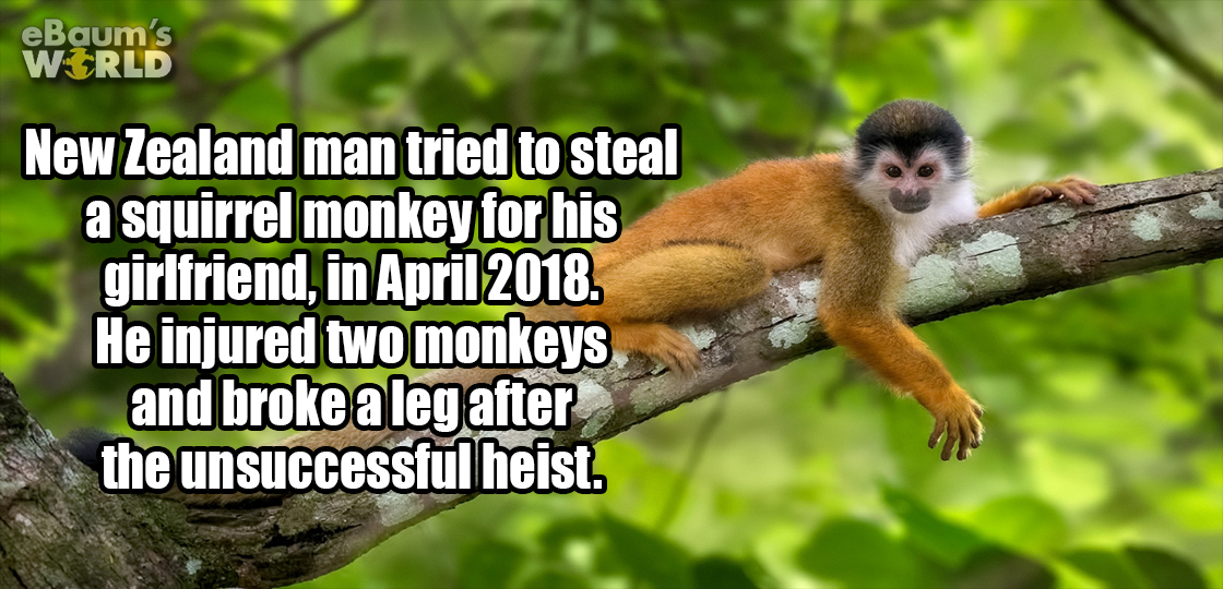 16 Fascinating Facts That Will Make You Wonder