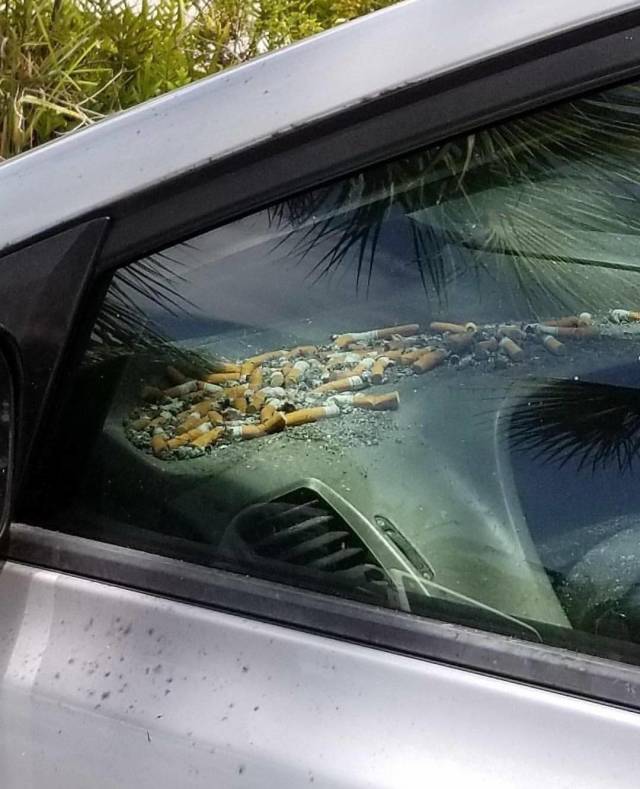 nasty car ashtray