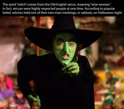 witches wizard of oz - The word "witch" comes from the Old English wicce, meaning "wise woman." In fact, wiccan were highly respected people at one time. According to popular belief, witches held one of their two main meetings, or sabbats, on Halloween ni